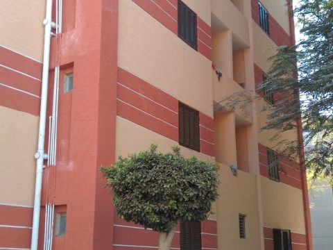 IMAG0866-480x360