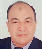 الأستاذ / عاطف صلاح الدين حسين