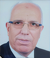 الأستاذ الدكتور/ مصطفى الشبيني
